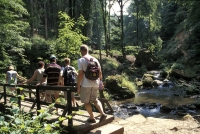 mullerthal promenade, wald, wandern