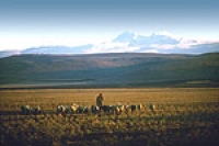 armenien, landschaft, aragatsotn