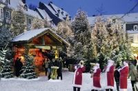  weihnachtswald_sh, weihnachtmarkt, goslar, dom, advent