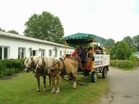  Ulis Kinderland Gallentin Kinderland