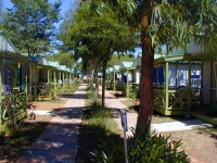  Camping Free Beach Marina di Bibbona